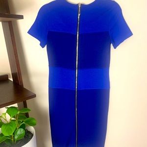Bodycon dress w/ Back Zipper